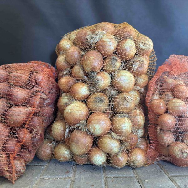 Cibule (bílá, červená) a česnek na uskladnění — fotografie 1