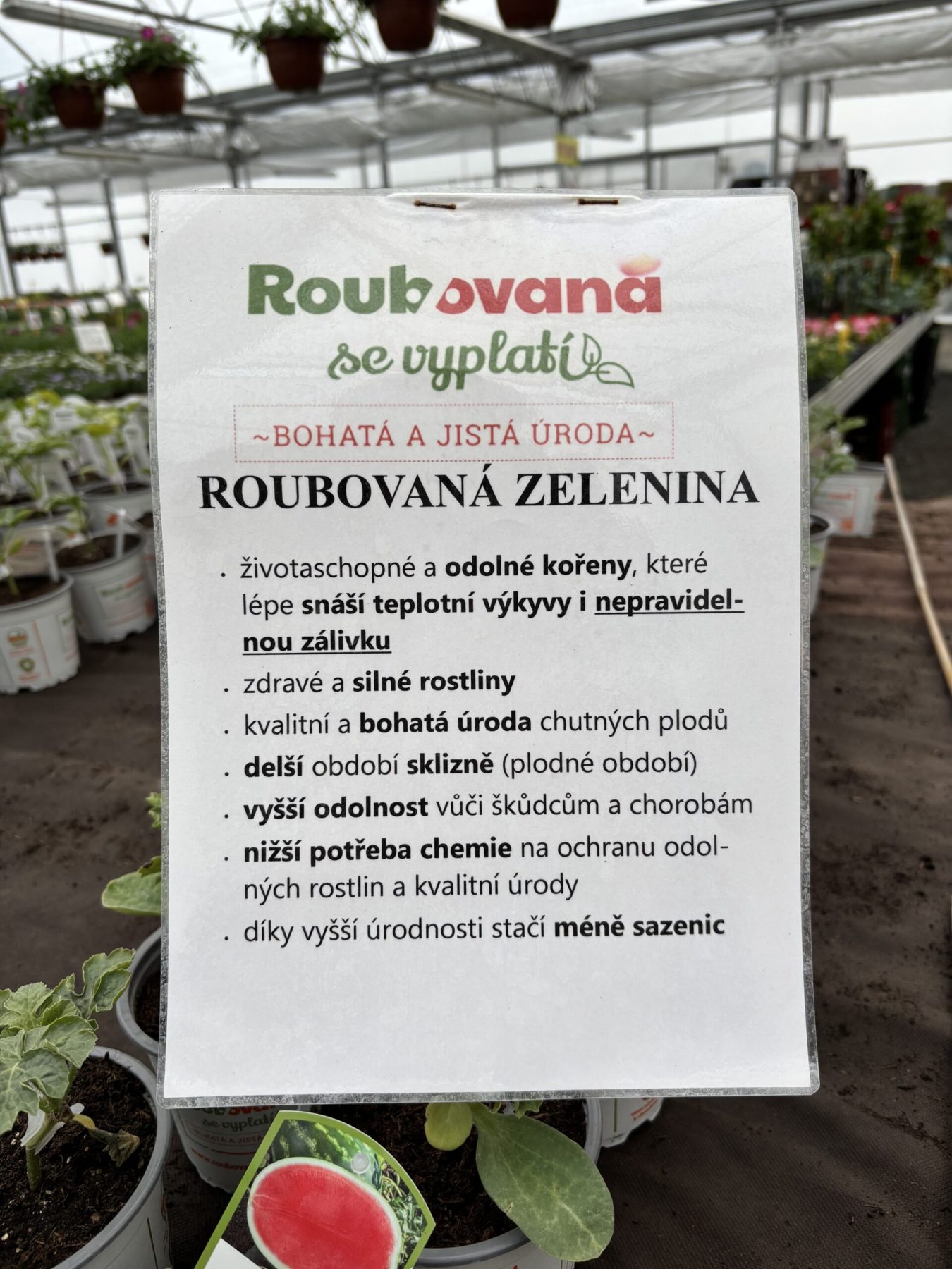 Roubovaná zelenina — fotografie 1