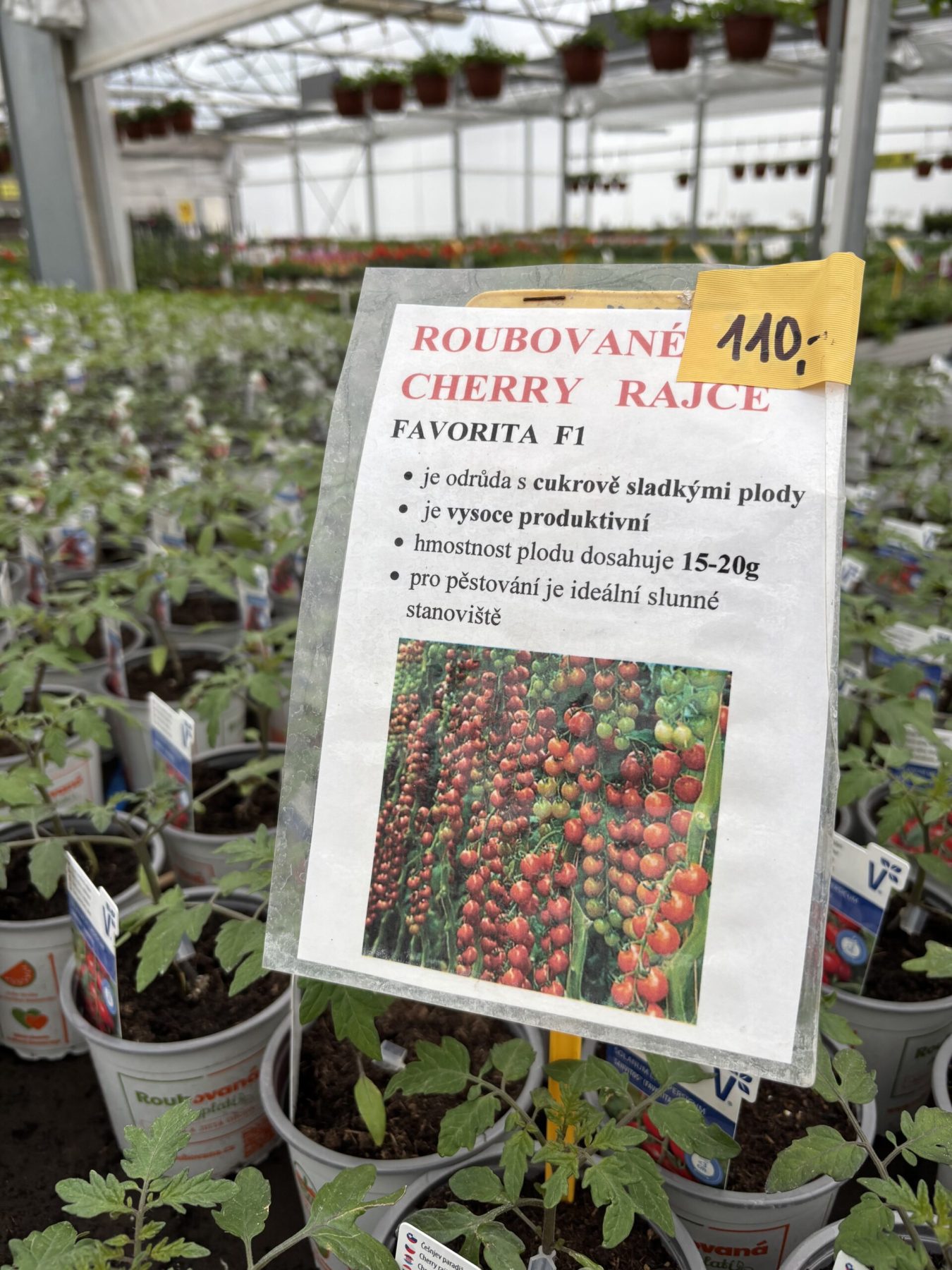 Roubovaná zelenina — fotografie 3