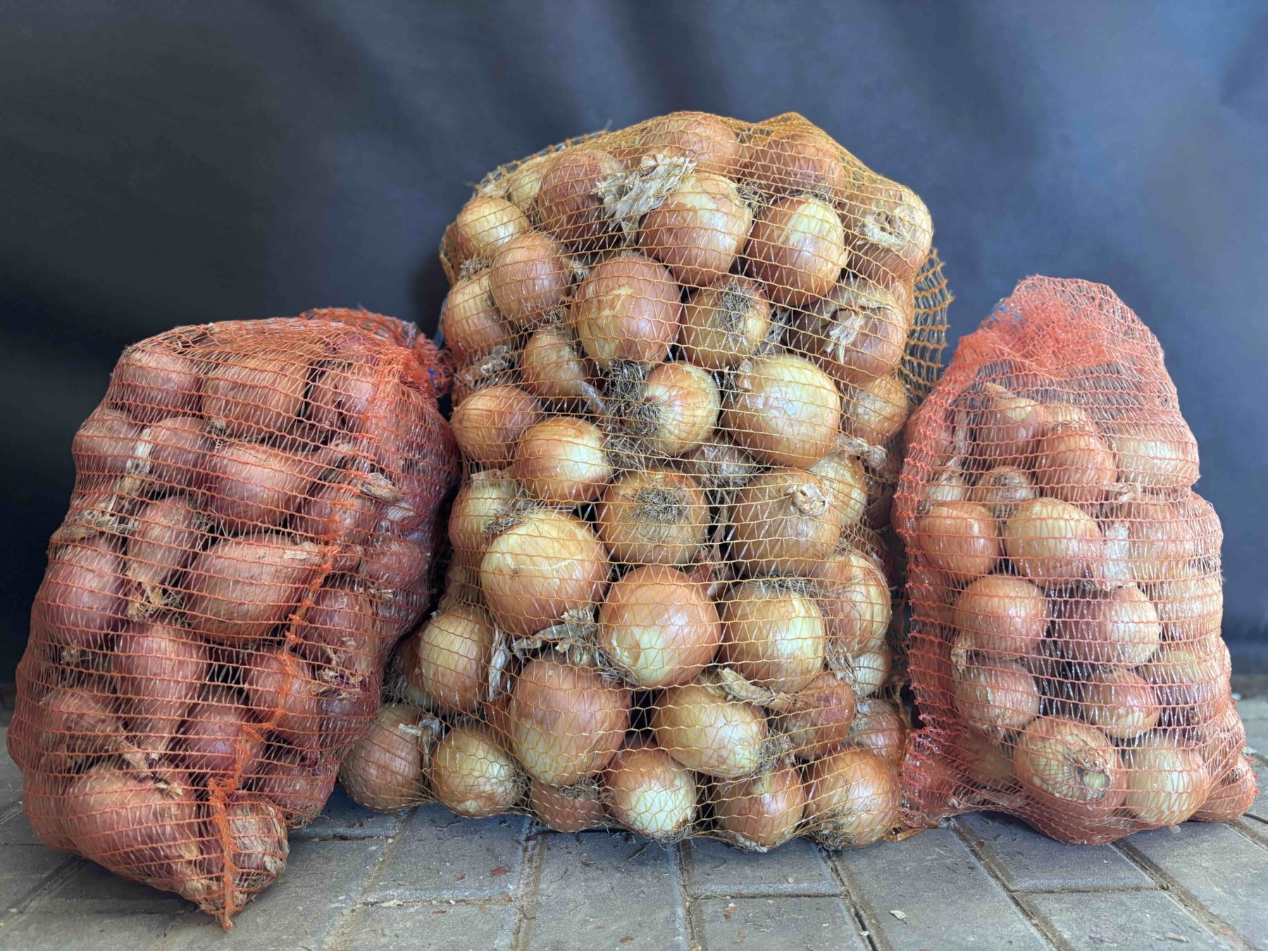 Cibule (bílá, červená)
